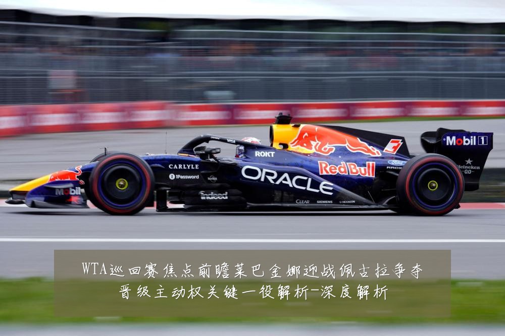 WTA巡回赛焦点前瞻莱巴金娜迎战佩古拉争夺晋级主动权关键一役解析-深度解析